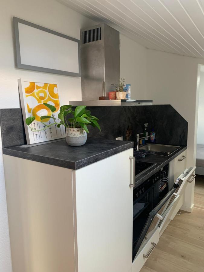 Schoene, Grosse Ferienwohnung Direkt Am Donauradweg & Keltenstadt Heuneburg Herbertingen Esterno foto