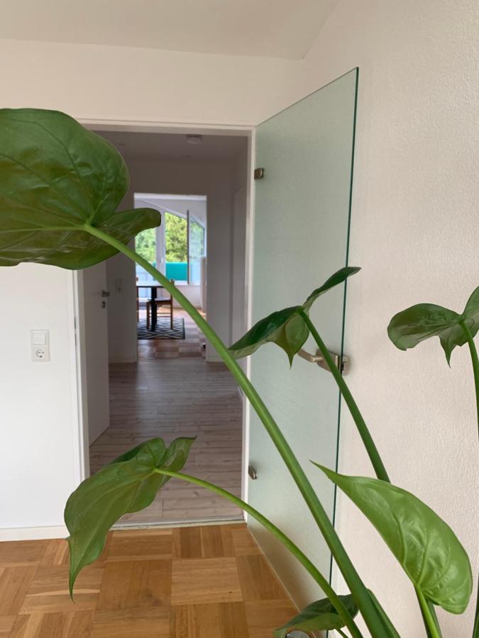 Schoene, Grosse Ferienwohnung Direkt Am Donauradweg & Keltenstadt Heuneburg Herbertingen Esterno foto