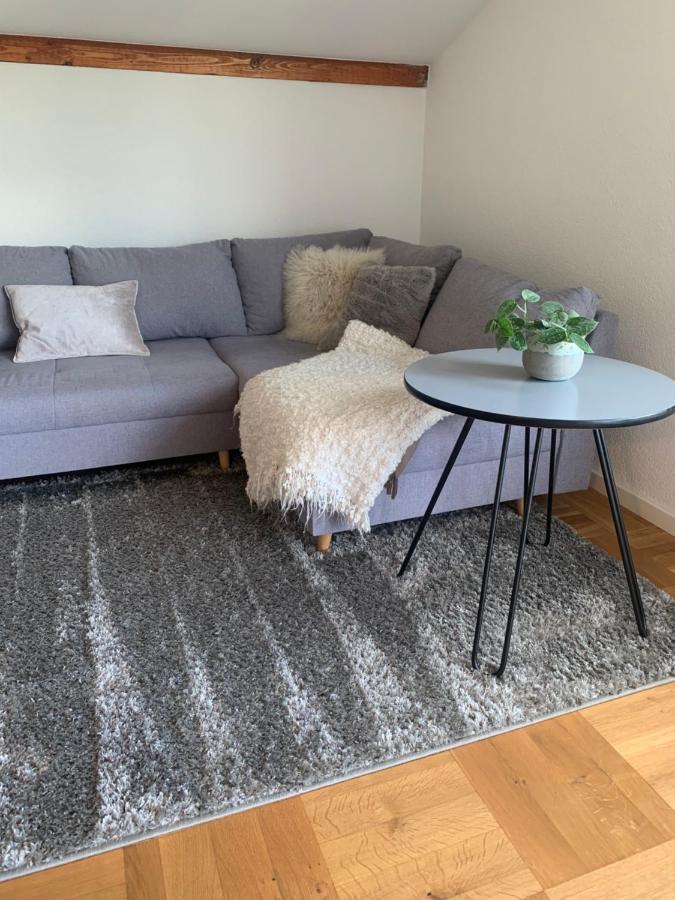 Schoene, Grosse Ferienwohnung Direkt Am Donauradweg & Keltenstadt Heuneburg Herbertingen Esterno foto