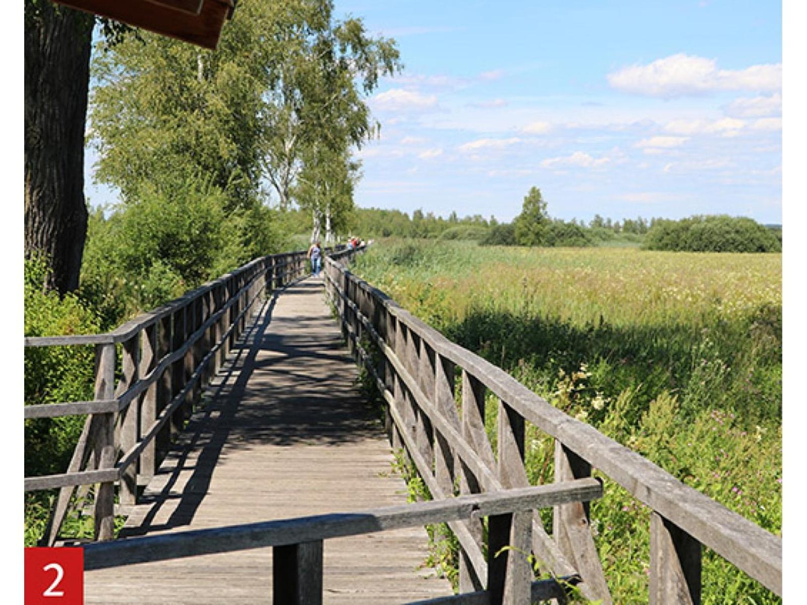 Schoene, Grosse Ferienwohnung Direkt Am Donauradweg & Keltenstadt Heuneburg Herbertingen Esterno foto